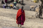 Street-Scenes-1-4