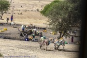 Street-Scenes-1-5