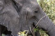 T-ngorogoro-1-3