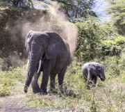 T-ngorogoro-1-8
