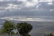 T-ngorogoro-1
