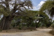 Tarangire-sign-1
