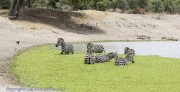 Water-hole-1