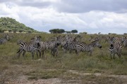 great-migration-1-2