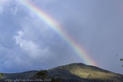 rainbow-1